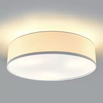 hofstein Plafonnier LED Colle - 31 Watt - 2800 lumen - Blanc chaud :  : Luminaires et Éclairage