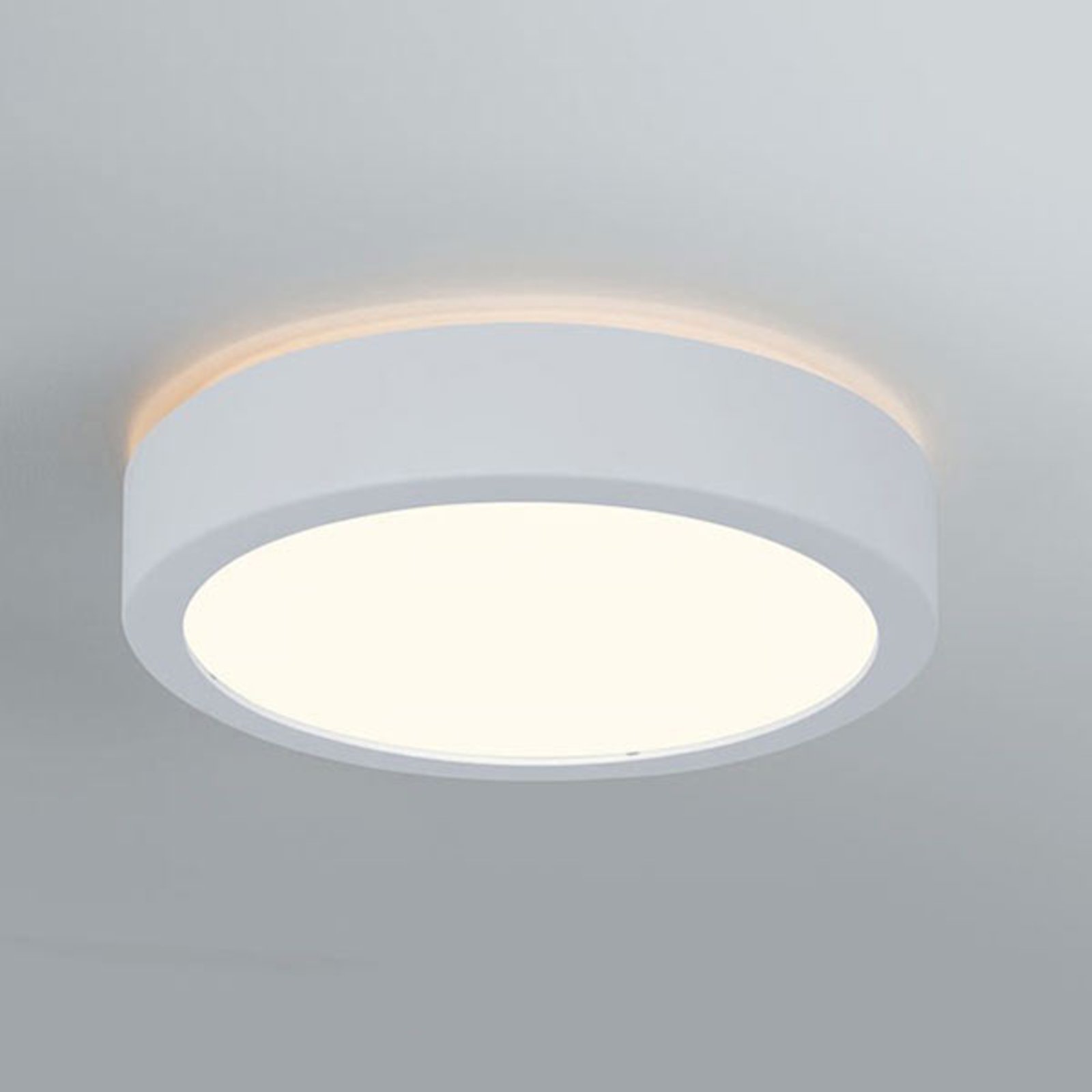 Paulmann Aviar LED-taklampe Ø 22 cm hvit 3 000 K