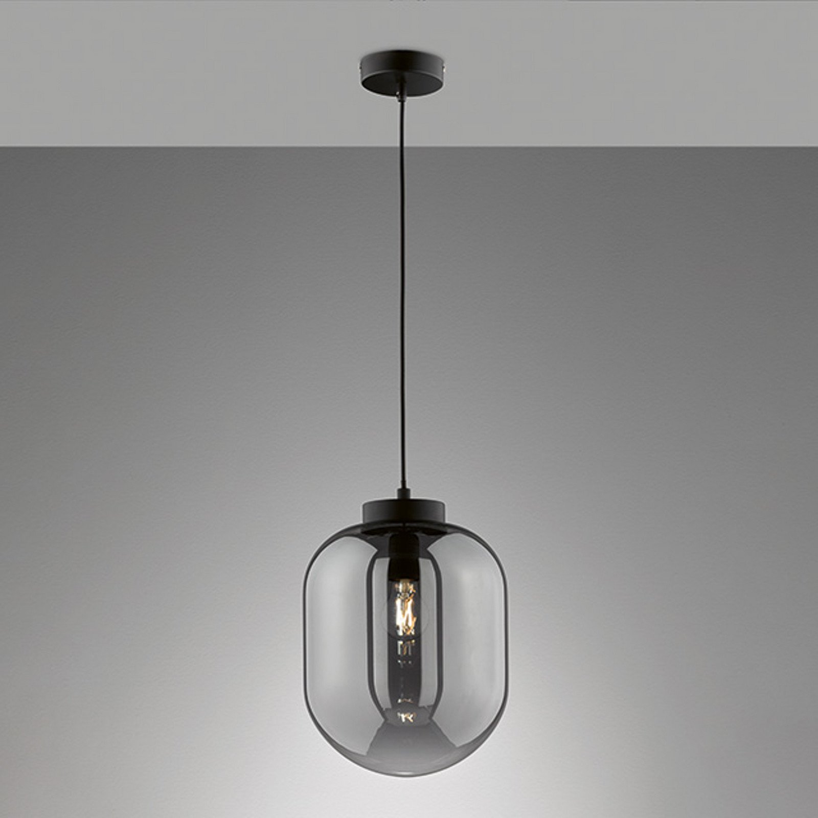 FISCHER & HONSEL Lampă suspendată Regi 1 bec Ø 24 cm - Camera de zi / sufragerie - negru mat gri fumuriu transparent - Sticlă