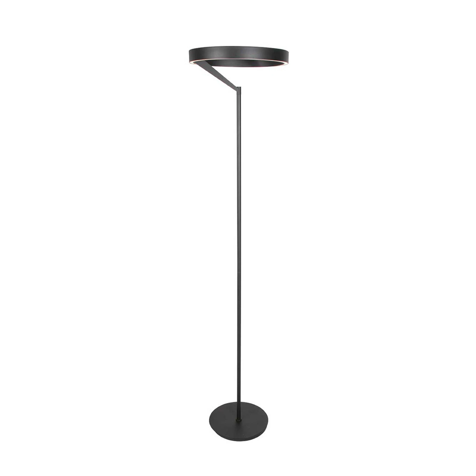 Lampa stojąca LED Mykty, czarna, wysokość 170 cm, metalowa, 2-punktowa CCT