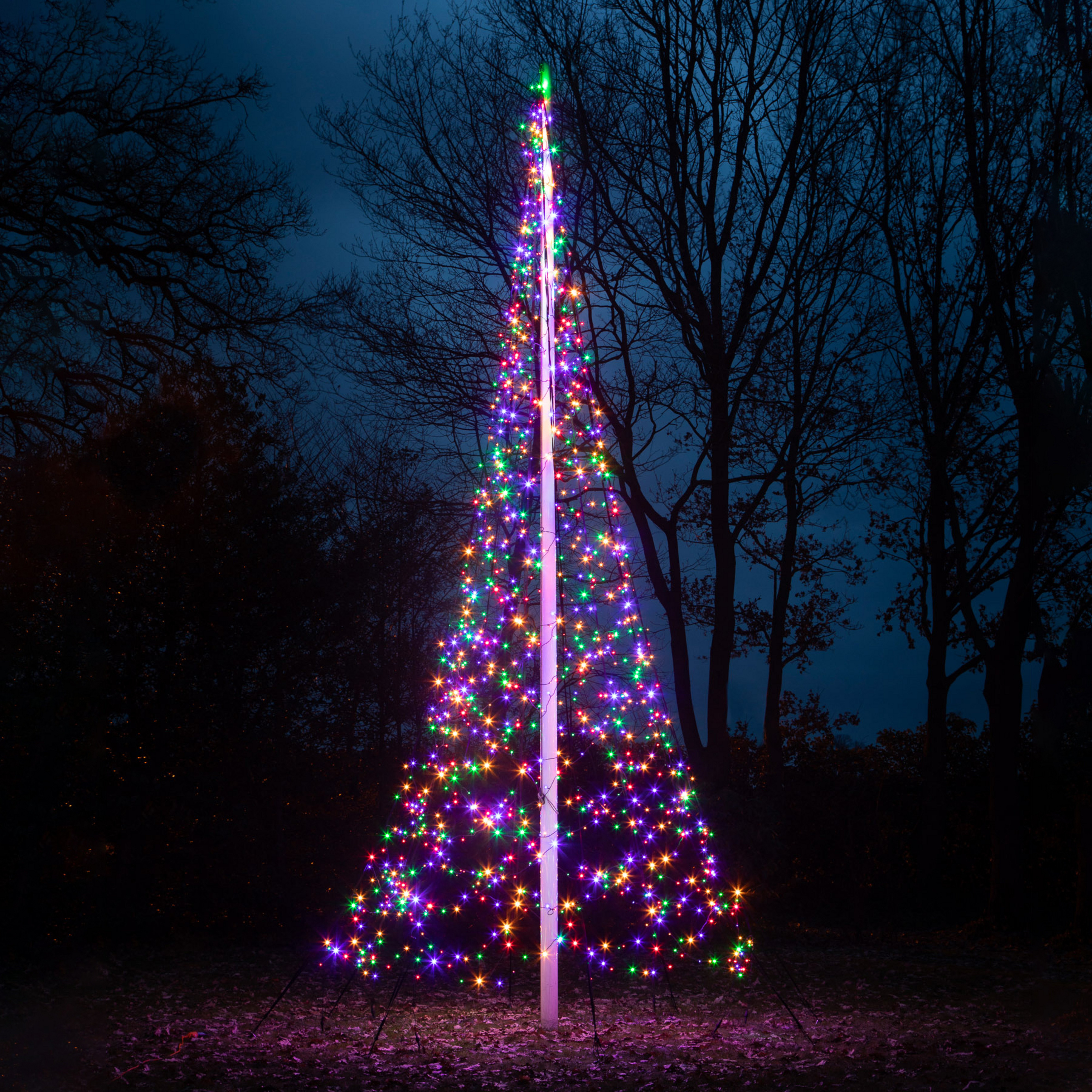 Božično drevo Fairybell brez droga, 6 m