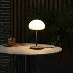 Sponge on a Stick table lamp with a battery grey