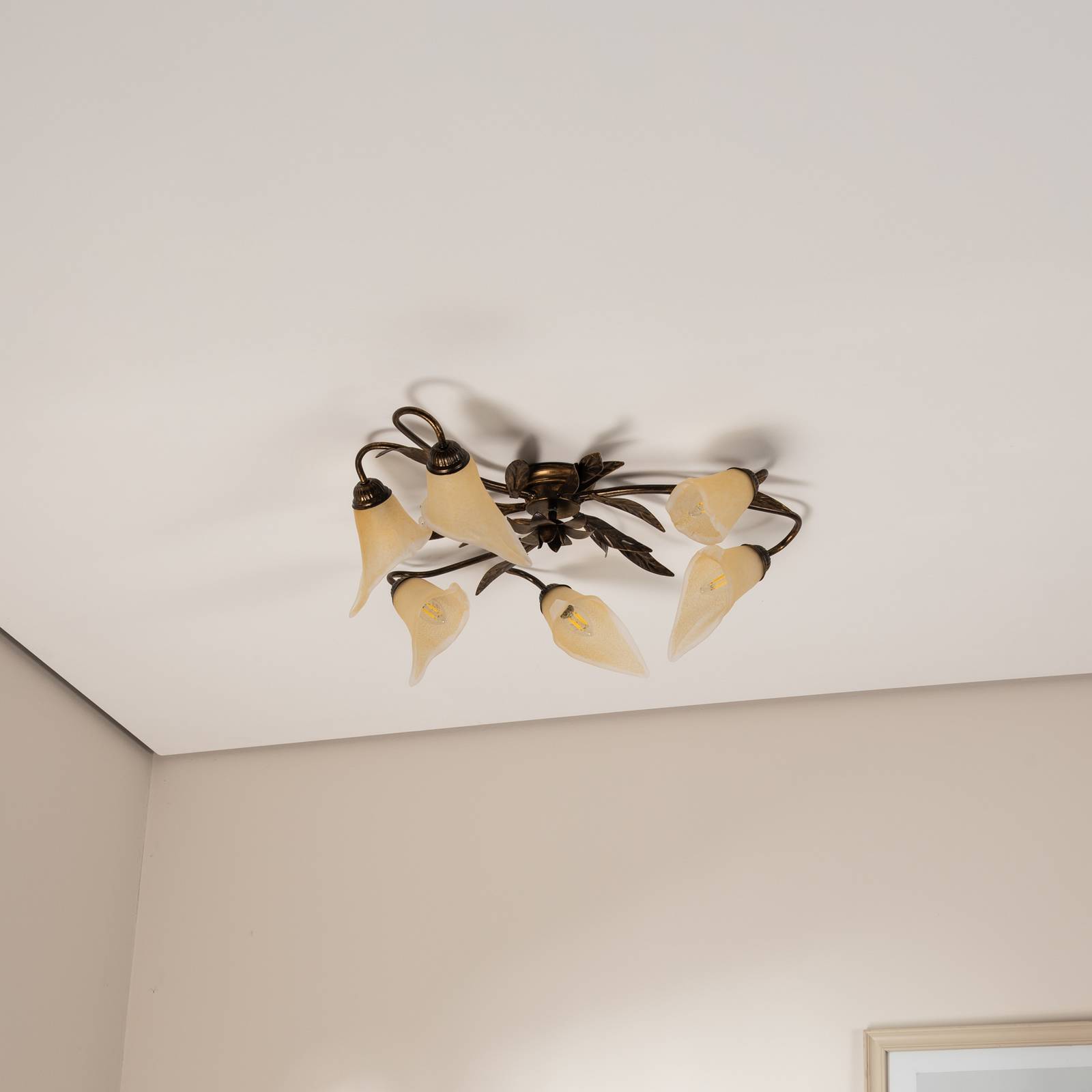Lampa sufitowa Alga, 6-punktowa, żelazo, szkło, Florentyna