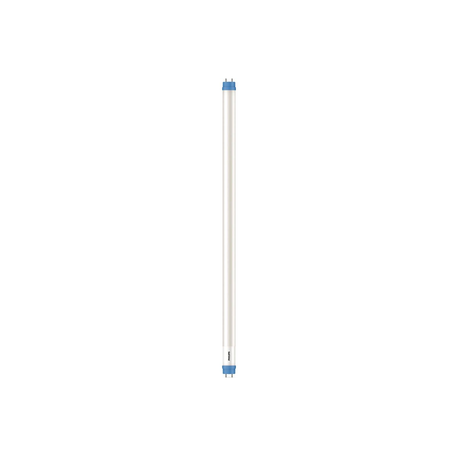 Philips G13 T8 LED-Röhrenlampe 8W 60,3cm 6.500K