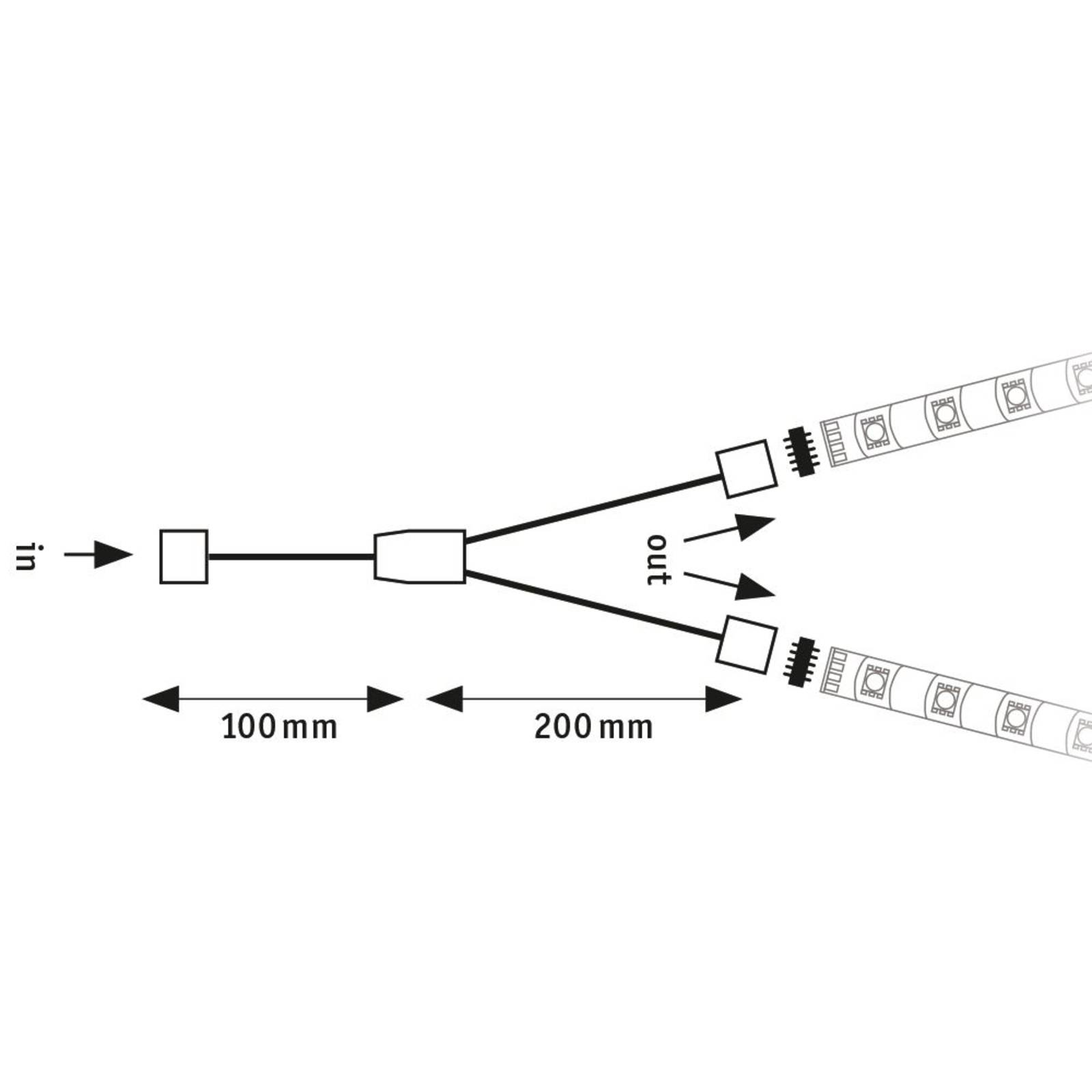 Image of Paulmann MaxLED câble en Y, répartiteur 4000870798133