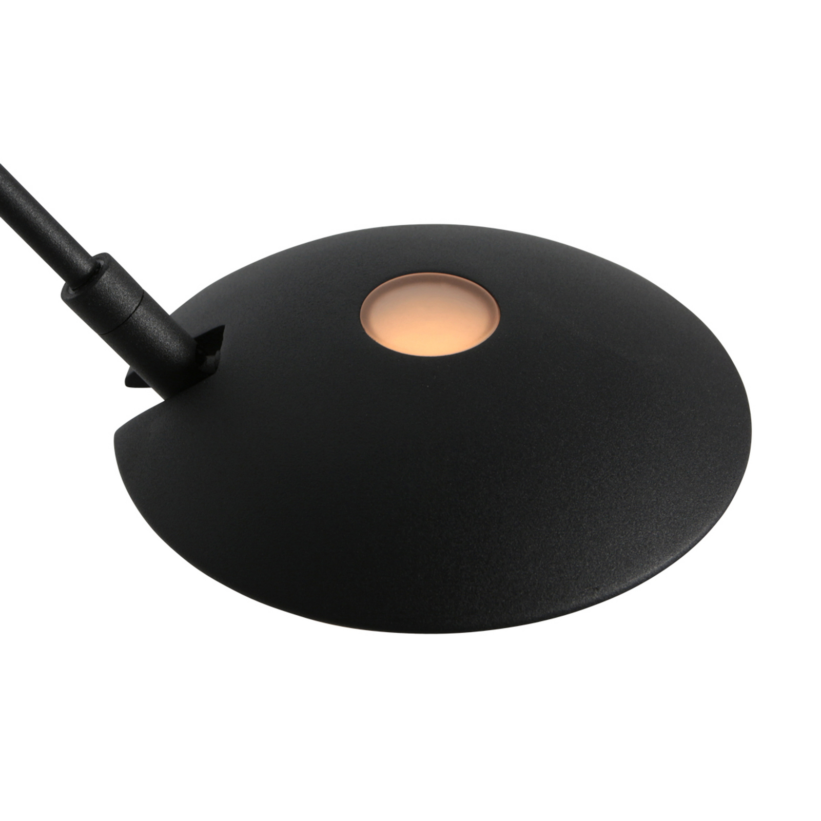 LED vloerlamp Daphne 2, 1-lamp, zwart, CCT, afstandsbediening LED vloerlamp Daphne 2, 1-lamp, zwart, CCT, afstandsbediening