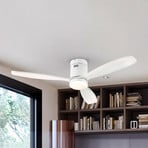 LED stropni ventilator Siroco, bel, Ø 132 cm, tih, CCT