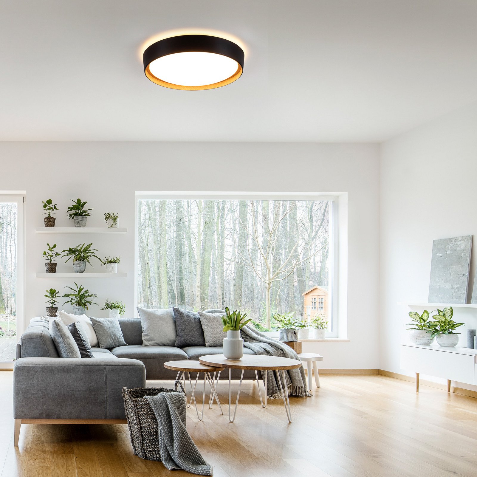 JUST LIGHT. Plafonieră cu LED-uri Emilia 3-step negru dimabil negru - Camera de zi / sufragerie - modern - negru alb - Metal