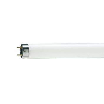 Lampe leuchtstoffröhre - Die ausgezeichnetesten Lampe leuchtstoffröhre auf einen Blick