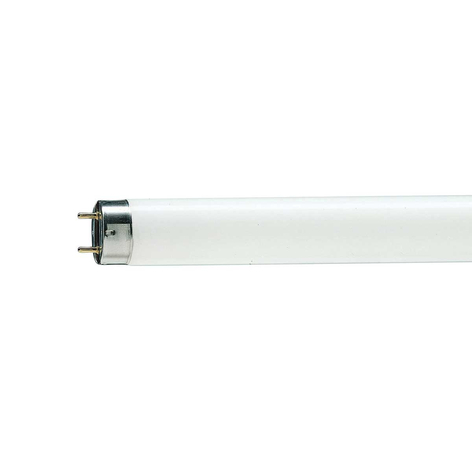 G13 T8 36W świetlówka MASTER TL-D Graphica 950