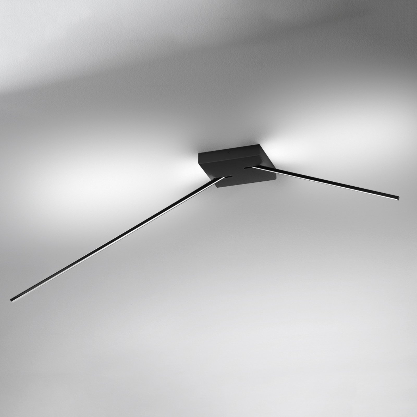 Spillo ceiling light with LEDs, 2-arm, black