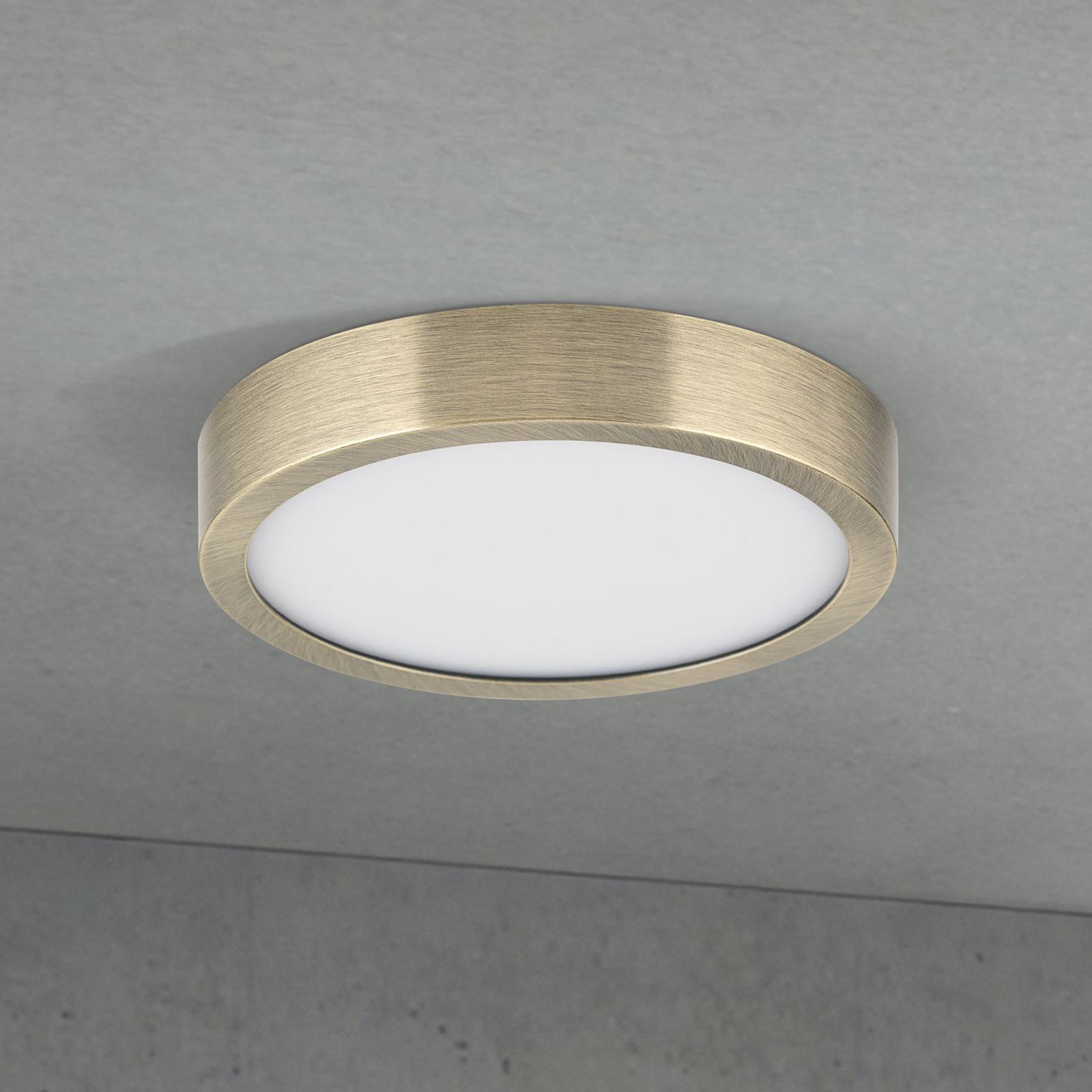 ORION Plafonieră LED Disc culoare alamă antică Ø 14 cm CCT - Camera de zi / sufragerie - Modern - alamă antică alb - Aluminiu