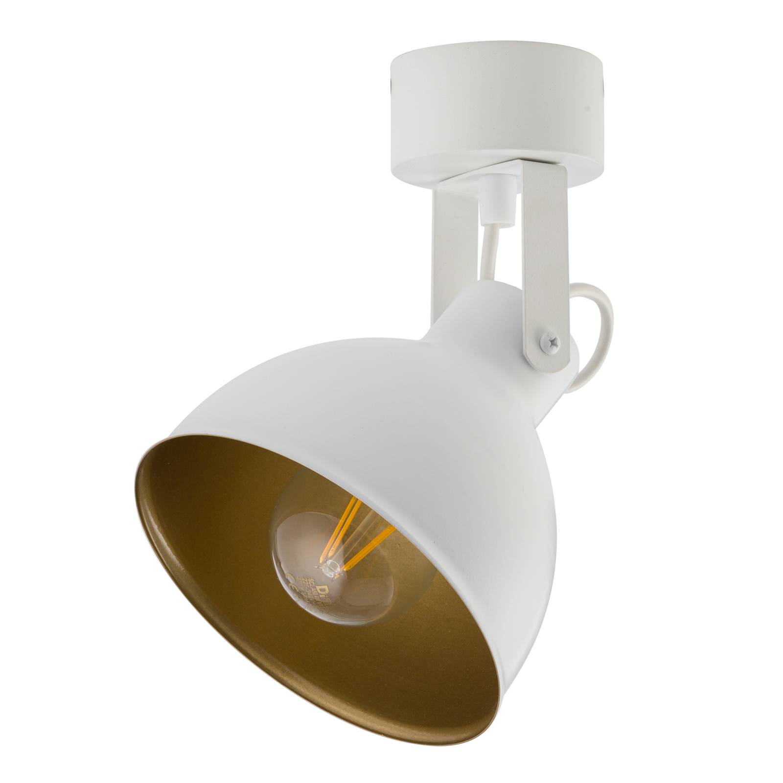 Plafondlamp Trial, 1-lamp, wit/goud