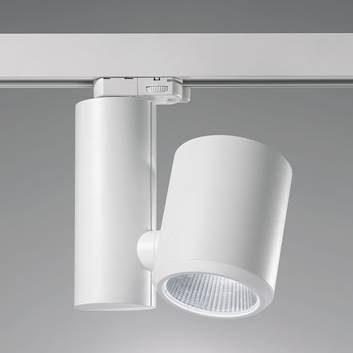 Effektiv LED-skinnespot Kent 38° hvit