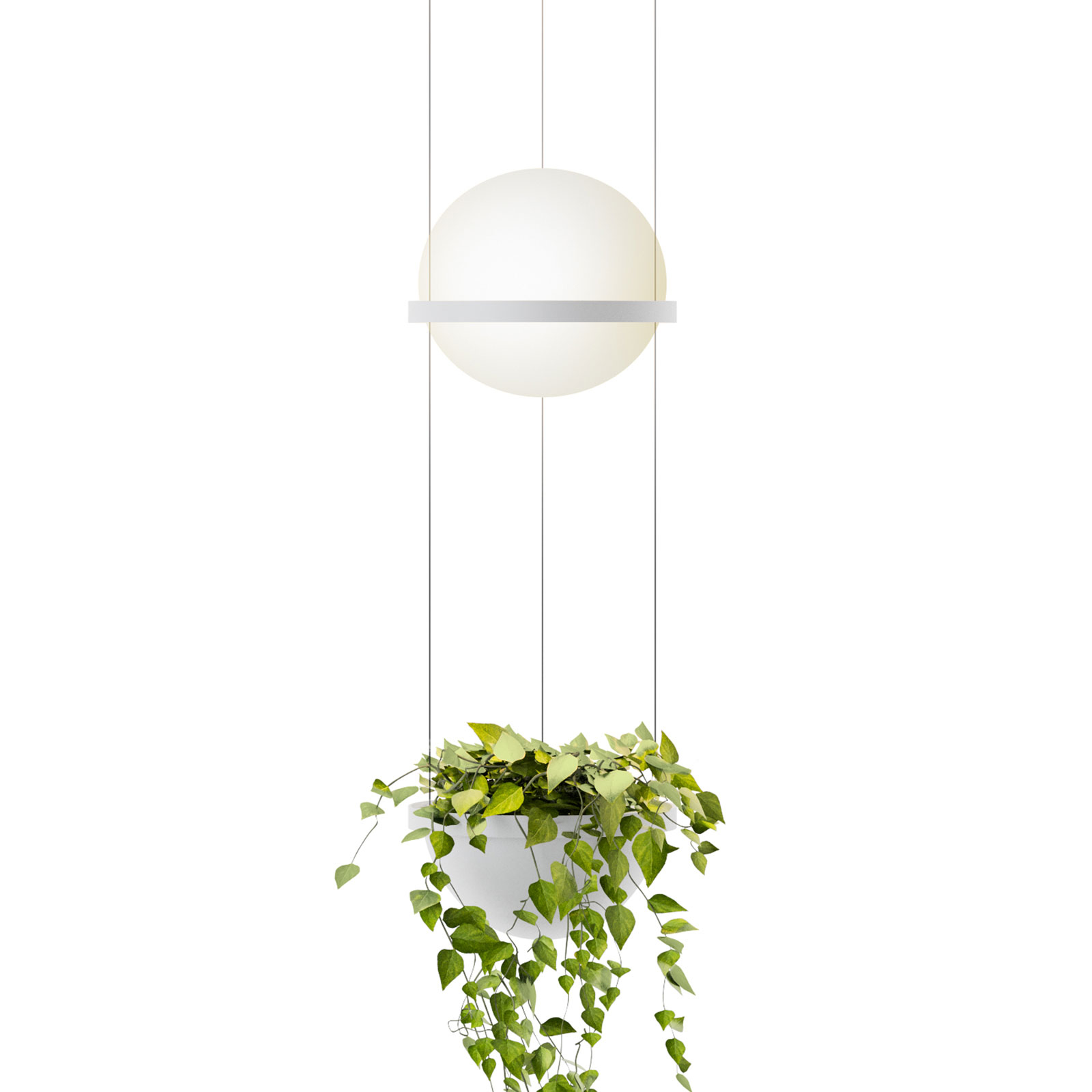 Vibia Palma 3724 hanging light, plant bowl