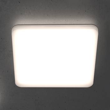 STEINEL RS PRO R30 Q basic plafón LED, angular