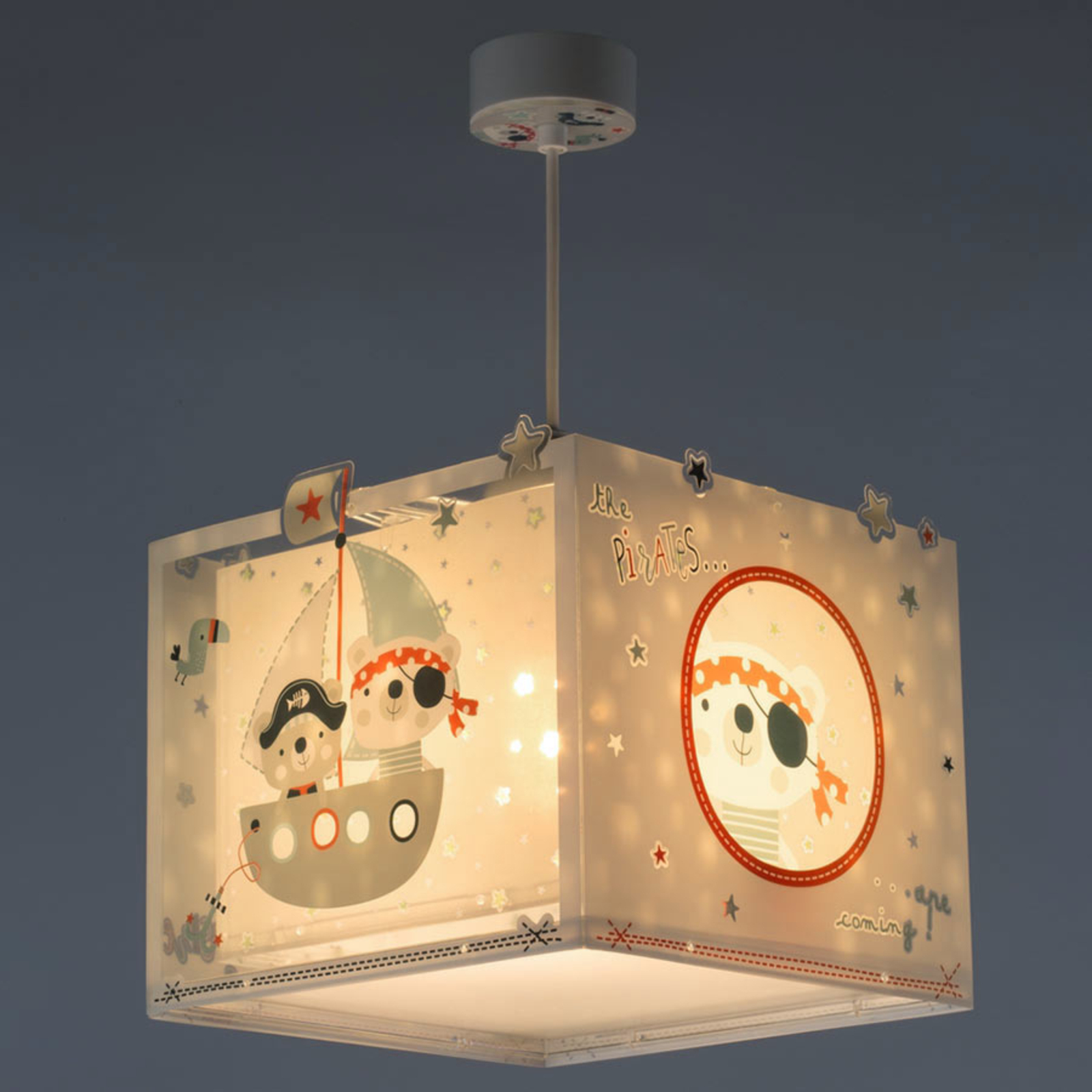 Pirates children's room pendant light