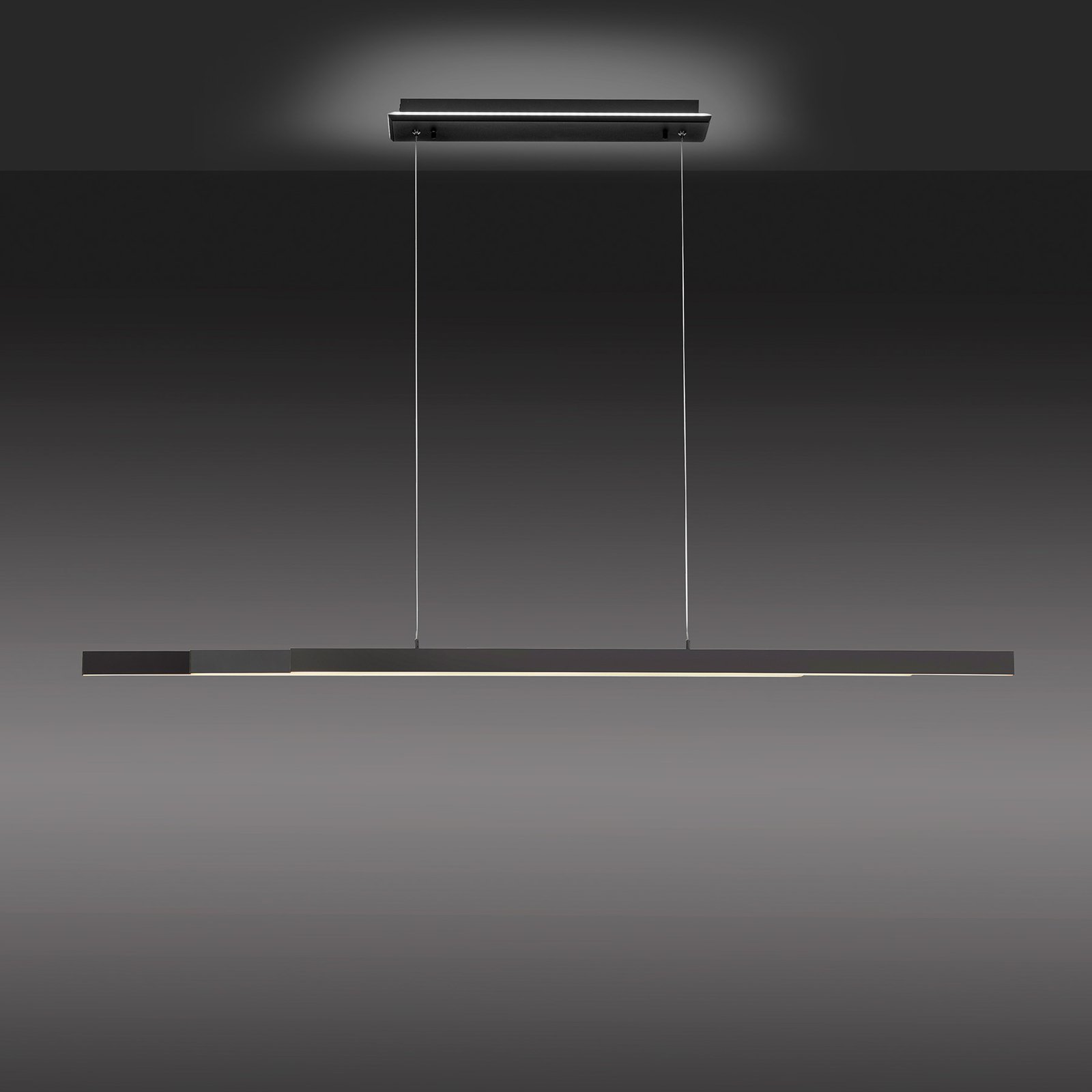 Paul Neuhaus Q-ARIAN LED-pendellampa, antracit