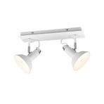 Roxie swivelling downlight, 2-bulb