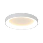 LED-Deckenlampe Niseko II, CCT, Fernbedienung, Ø 50 cm, weiß