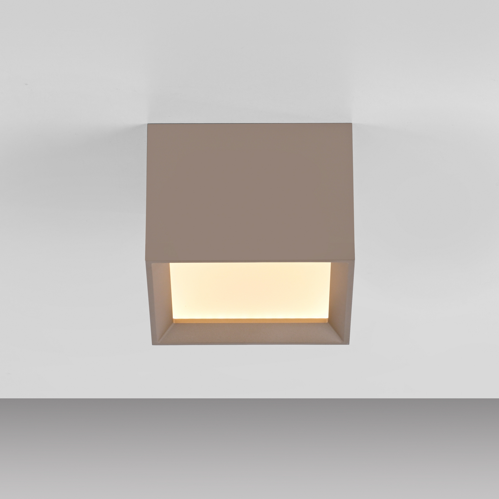 LED-stropna svetilka PURE Manhatten, bronasta, 1-žarilna, CCT