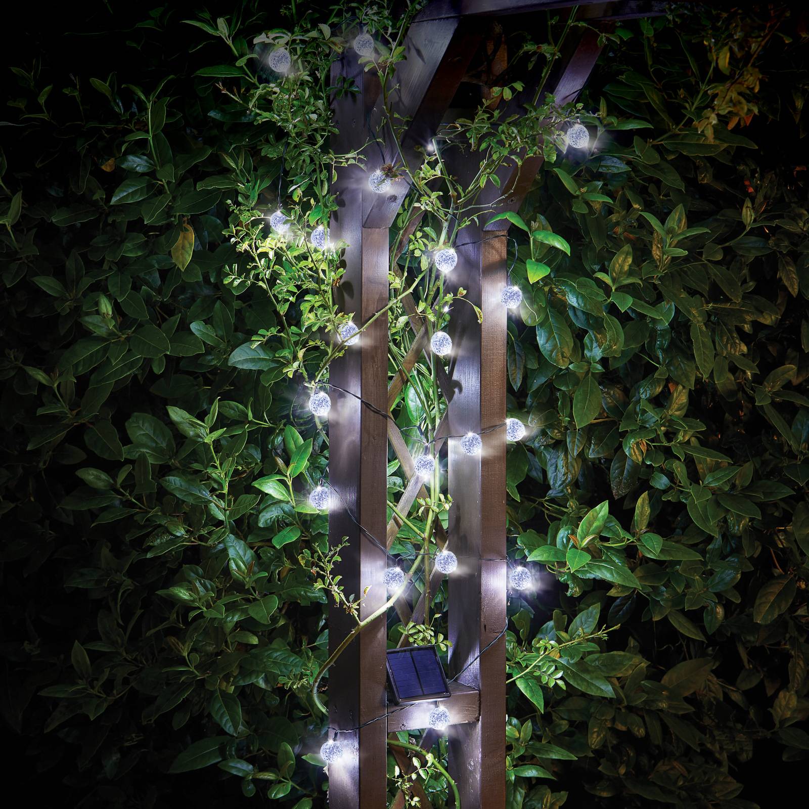 smart garden guirlande lumineuse led super bright, longueur 11,80 m