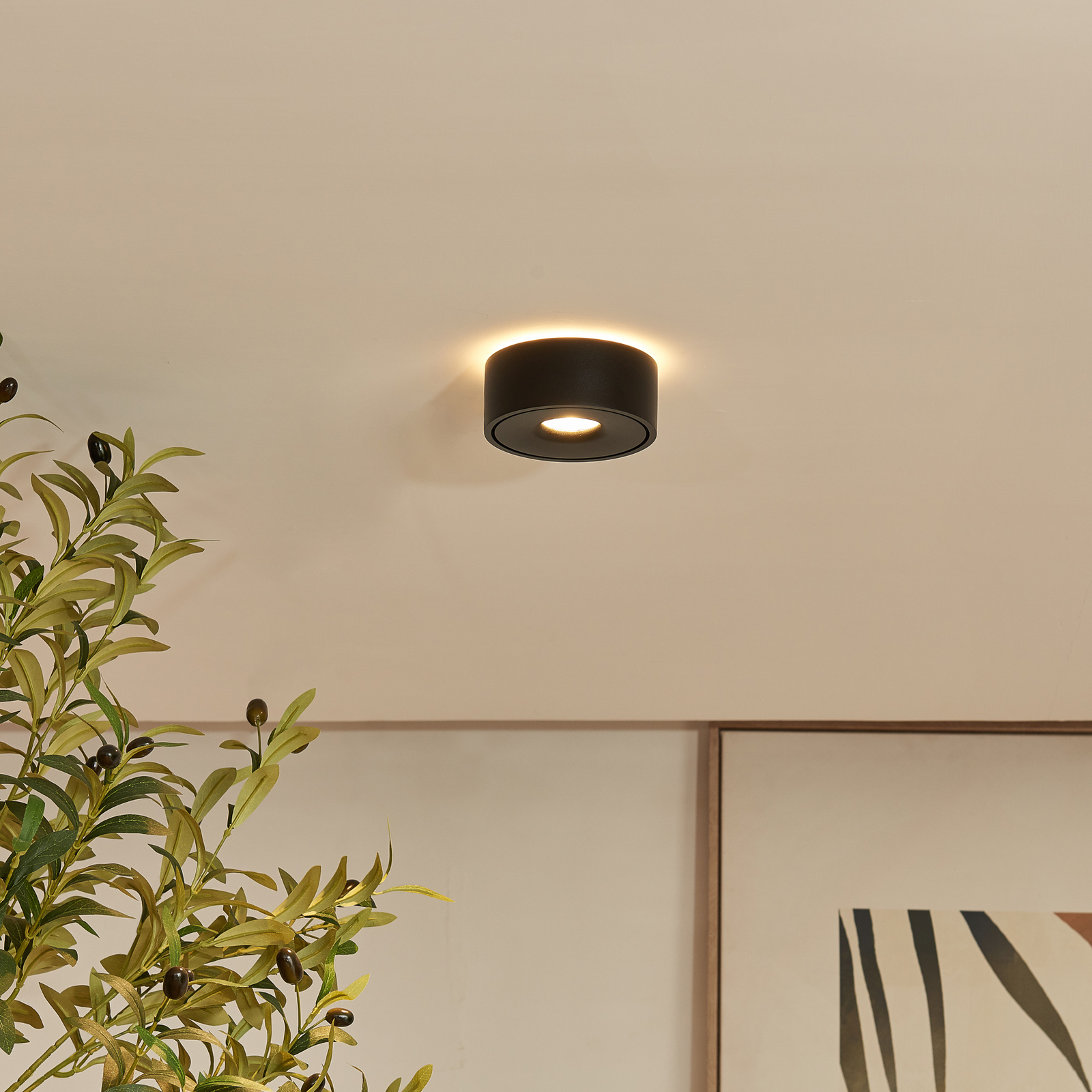 Arcchio Rotari LED ceiling lamp, up & down, black