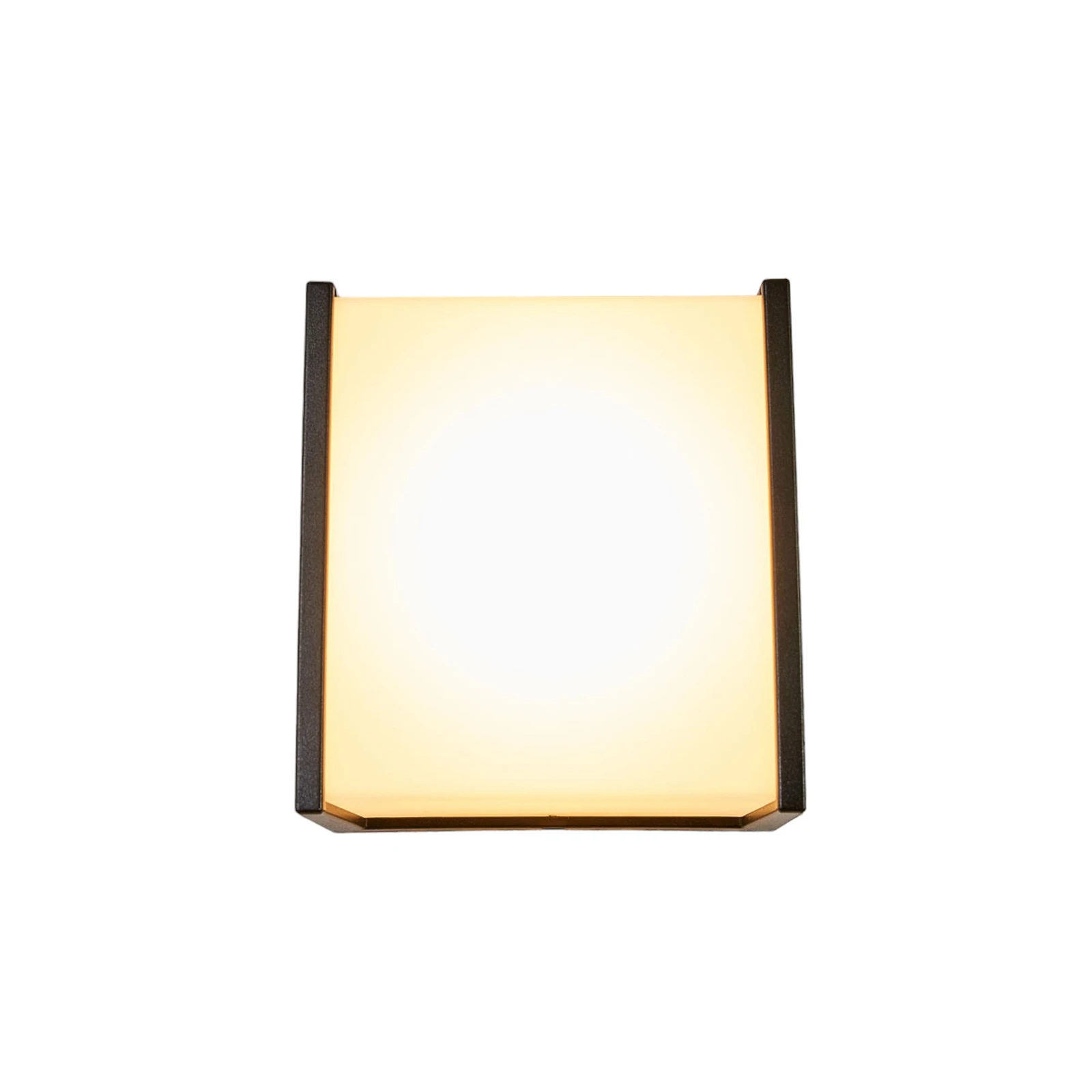 Macaw - LED outdoor wall light