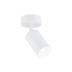 Sado downlight, white, steel, adjustable, 1-bulb round