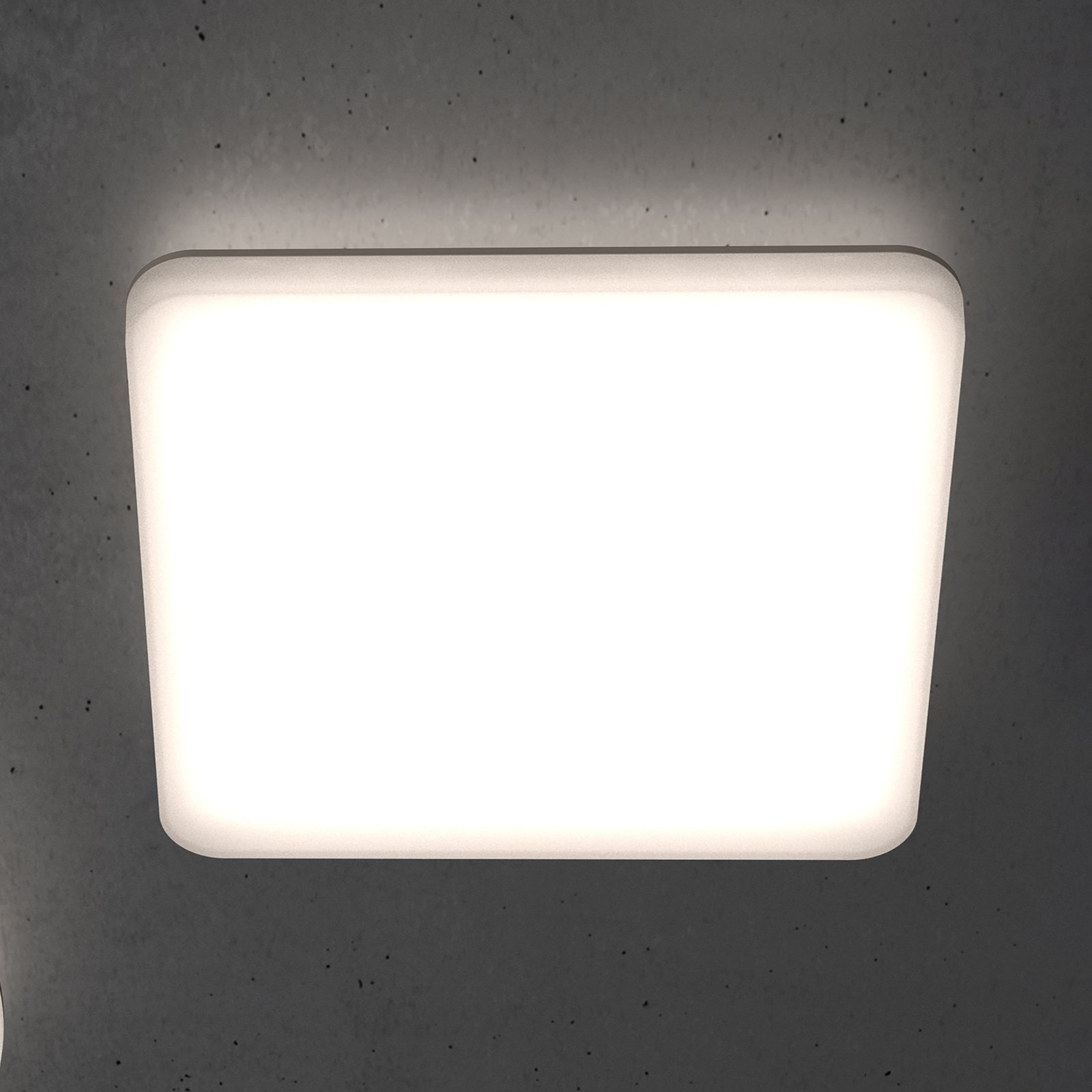 STEINEL RS PRO R30 Q plus LED ceiling lamp, angular