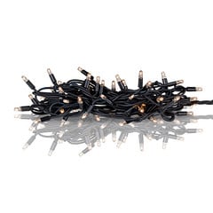 Ghirlanda luminosa Extra 100 LED 2.850K