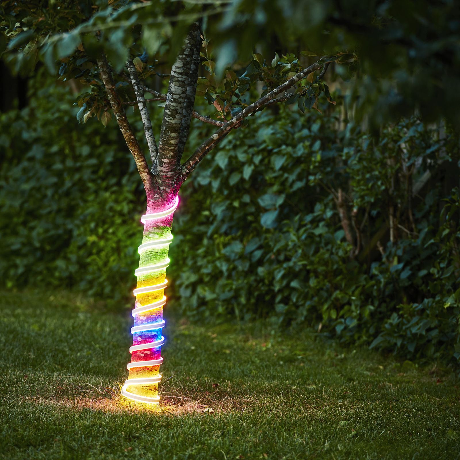 Wąż świetlny LED Flatneon multicolor