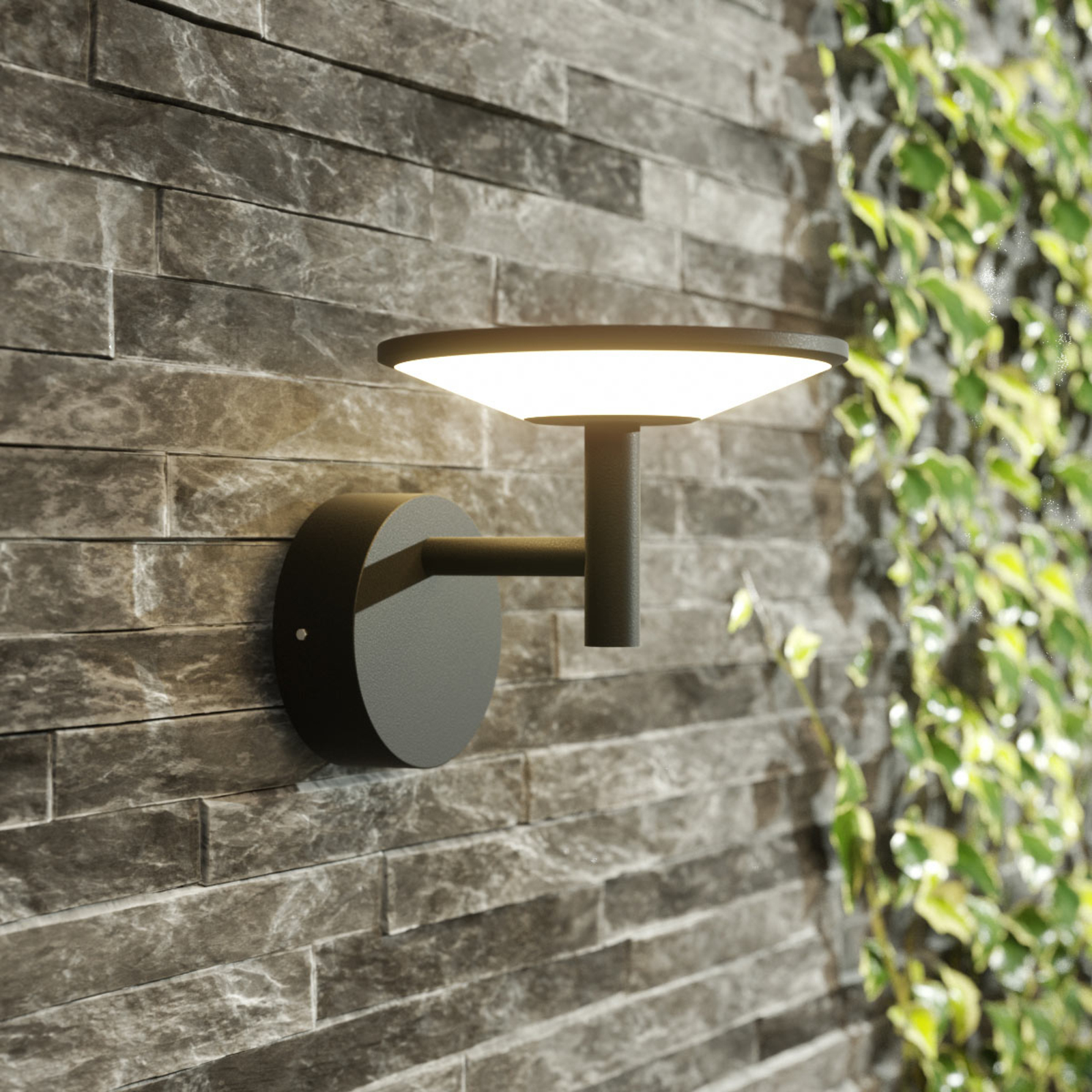 Anthracite-coloured LED outdoor wall light Fenia