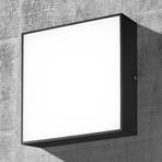 CMD 9024 LED outdoor wall light, 24 x 24 cm