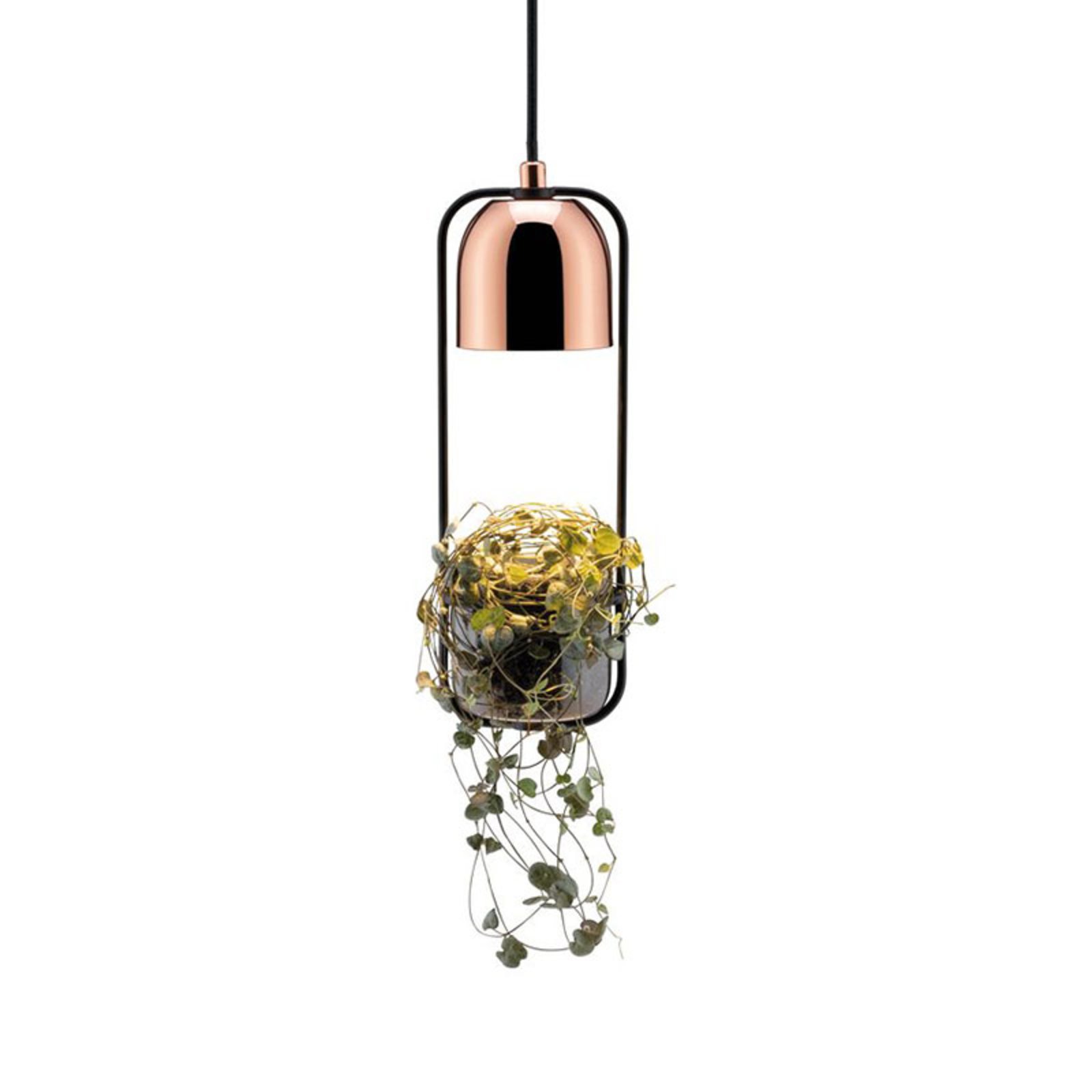 Paulmann Fanja hanging lamp with a plant pot