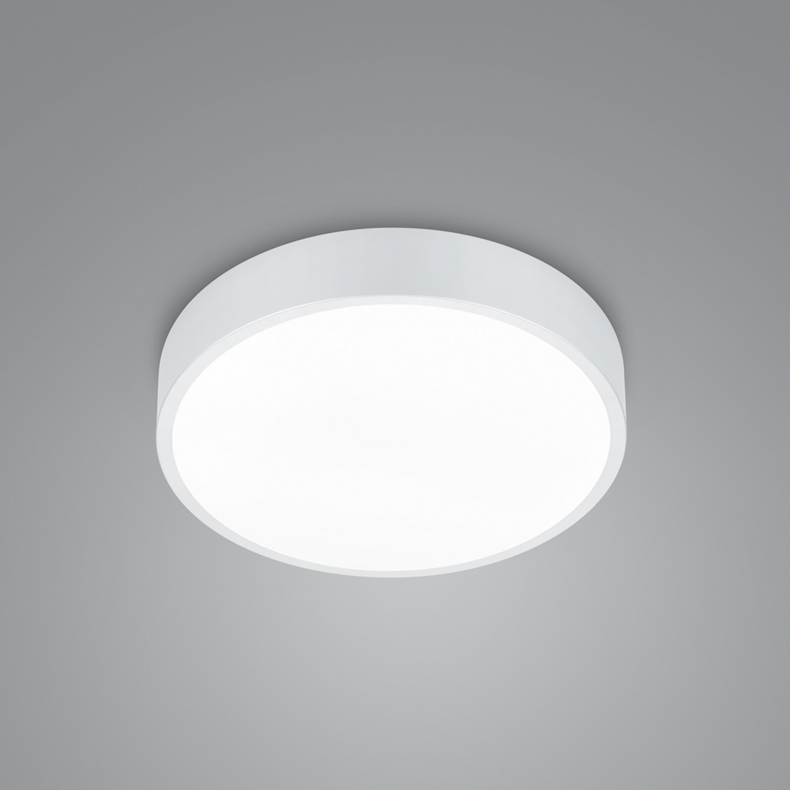 Trio Lighting Plafonieră cu LED Waco CCT Ø 31cm alb mat - Camera de zi / sufragerie - Metal