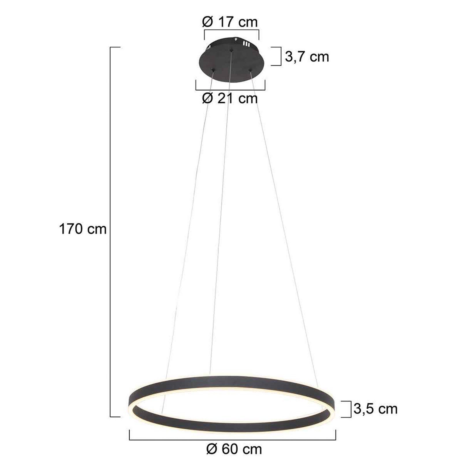 Steinhauer Ringlux lampă suspendată LED 2 becuri Ø60cm negru - Camera de zi / sufragerie - modern - Metal