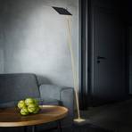 BANKAMP Book lámpara de pie LED CCT ZigBee pan oro