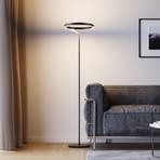 Molto Luce LED vloerlamp Melli F, zwart, aluminium, hoogte 168 cm