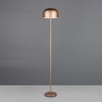 LED battery-powered floor lamp Jeff, coffee, dimmable, height 147 cm
