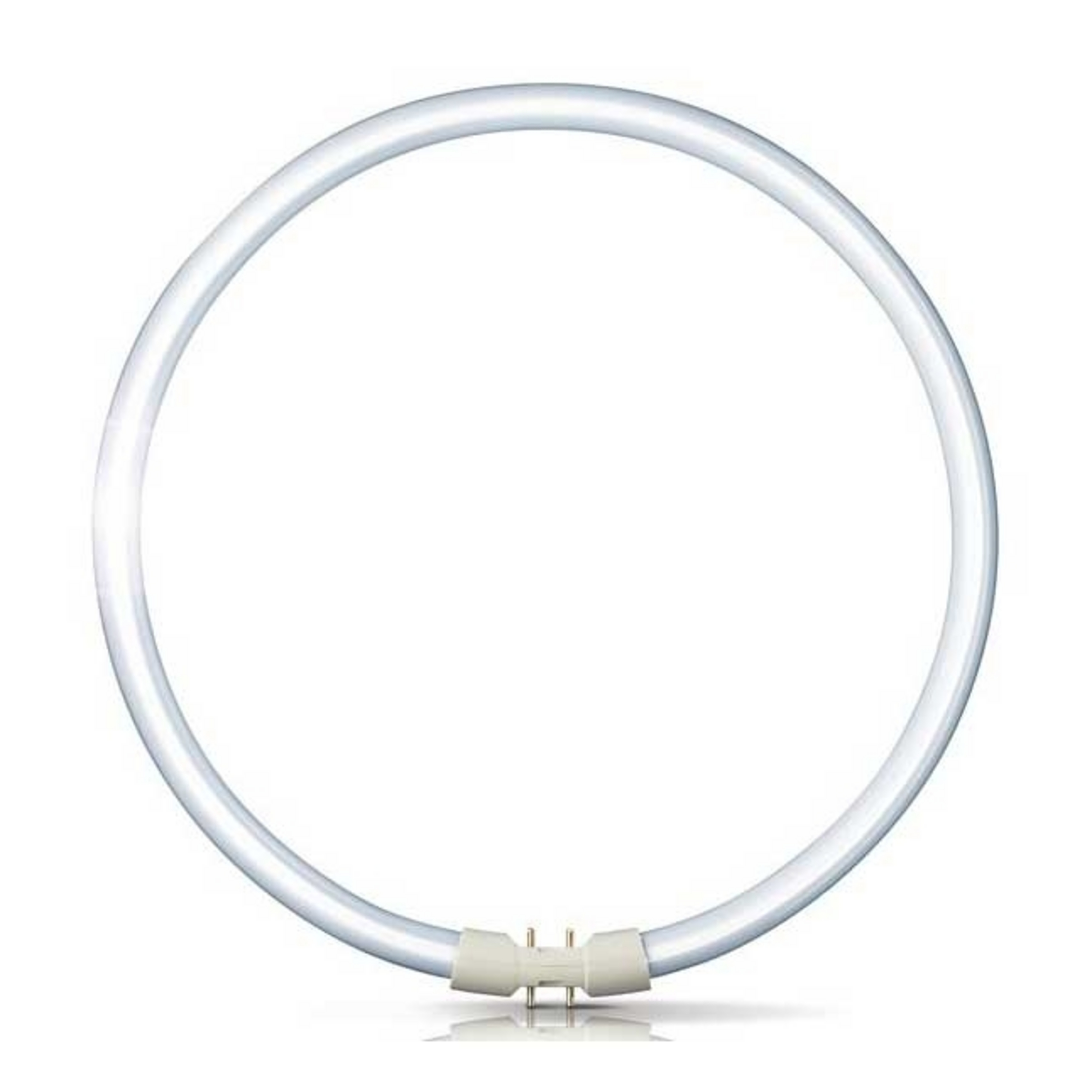 2GX13 Ring-Leuchtstofflampe Master TL5 Circular