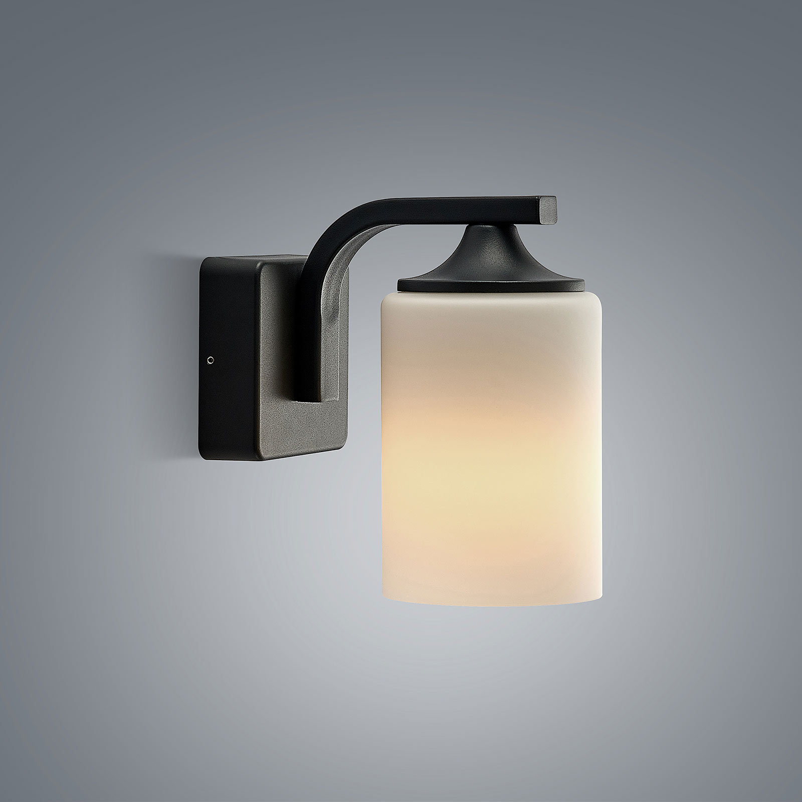 Lindby Yannis outdoor wall light