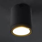 Plafoniera LED Negro per uso esterno