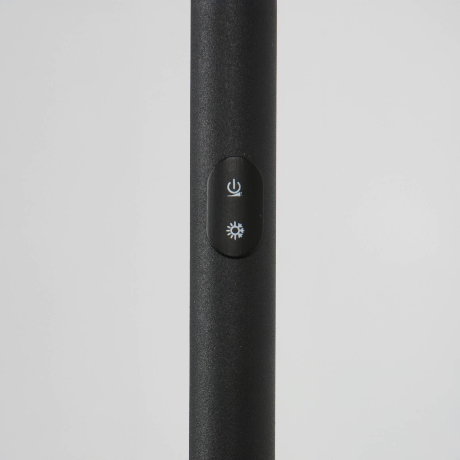 Lampa stojąca LED Daphne 2, 1-punktowa, czarna, CCT, pilot