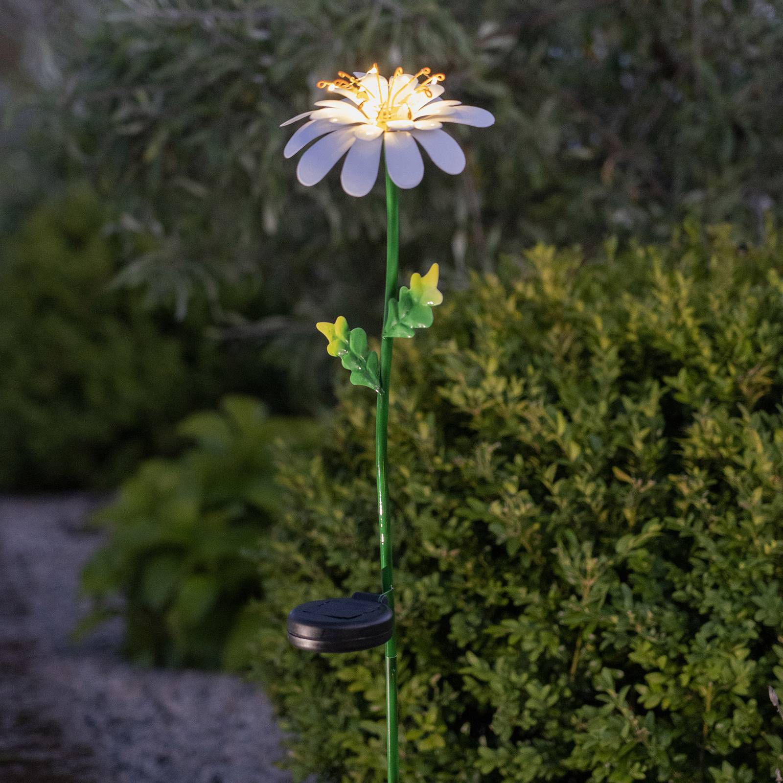 STAR TRADING Lampe solaire LED Daisy en forme de marguerite