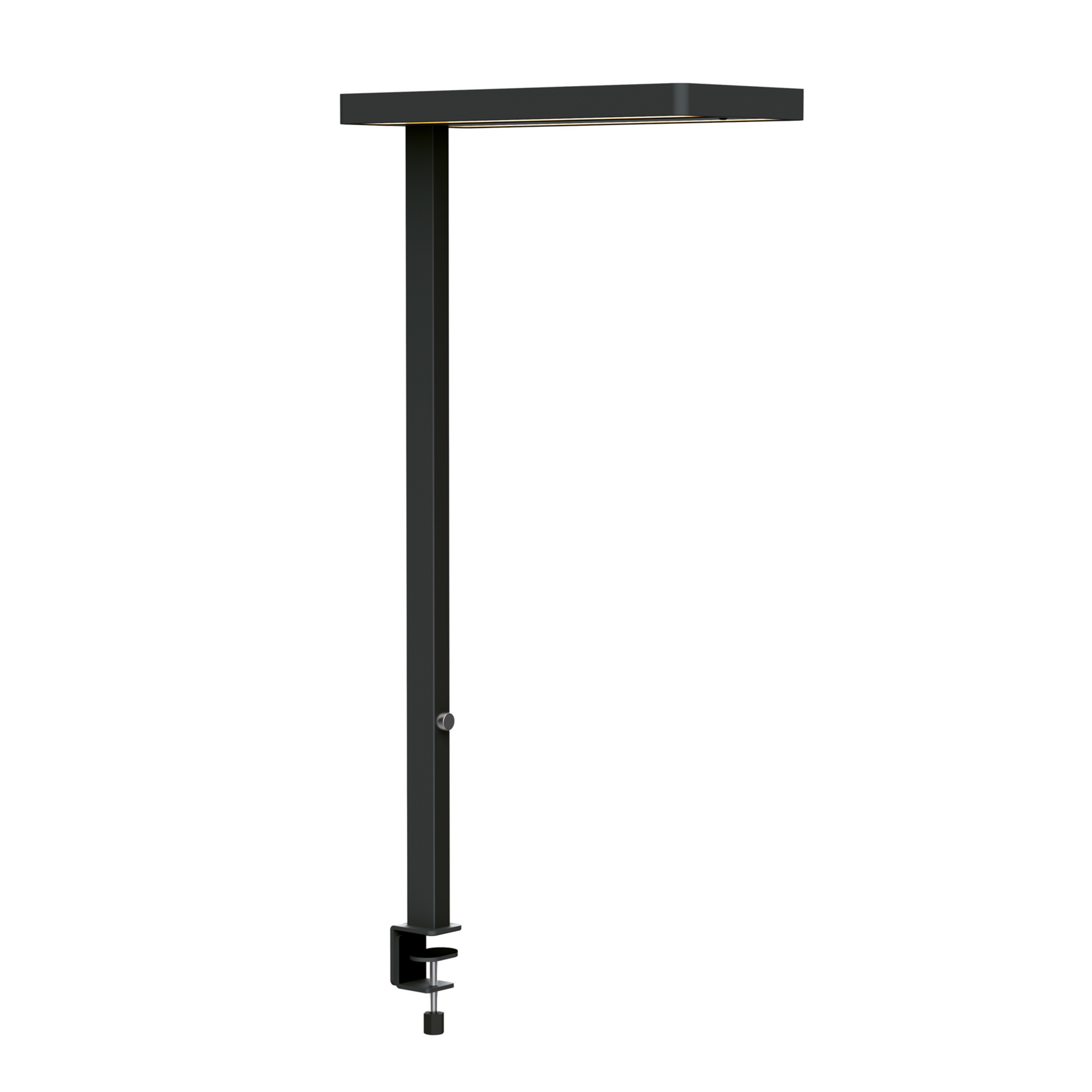 LED-Tischleuchte MAULjaval, schwarz, 120 cm, dim, Klemfuß