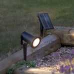 LED-zonne-spot Powerspot 10 cm 3000 K, 50 lm, zwart, grondpen