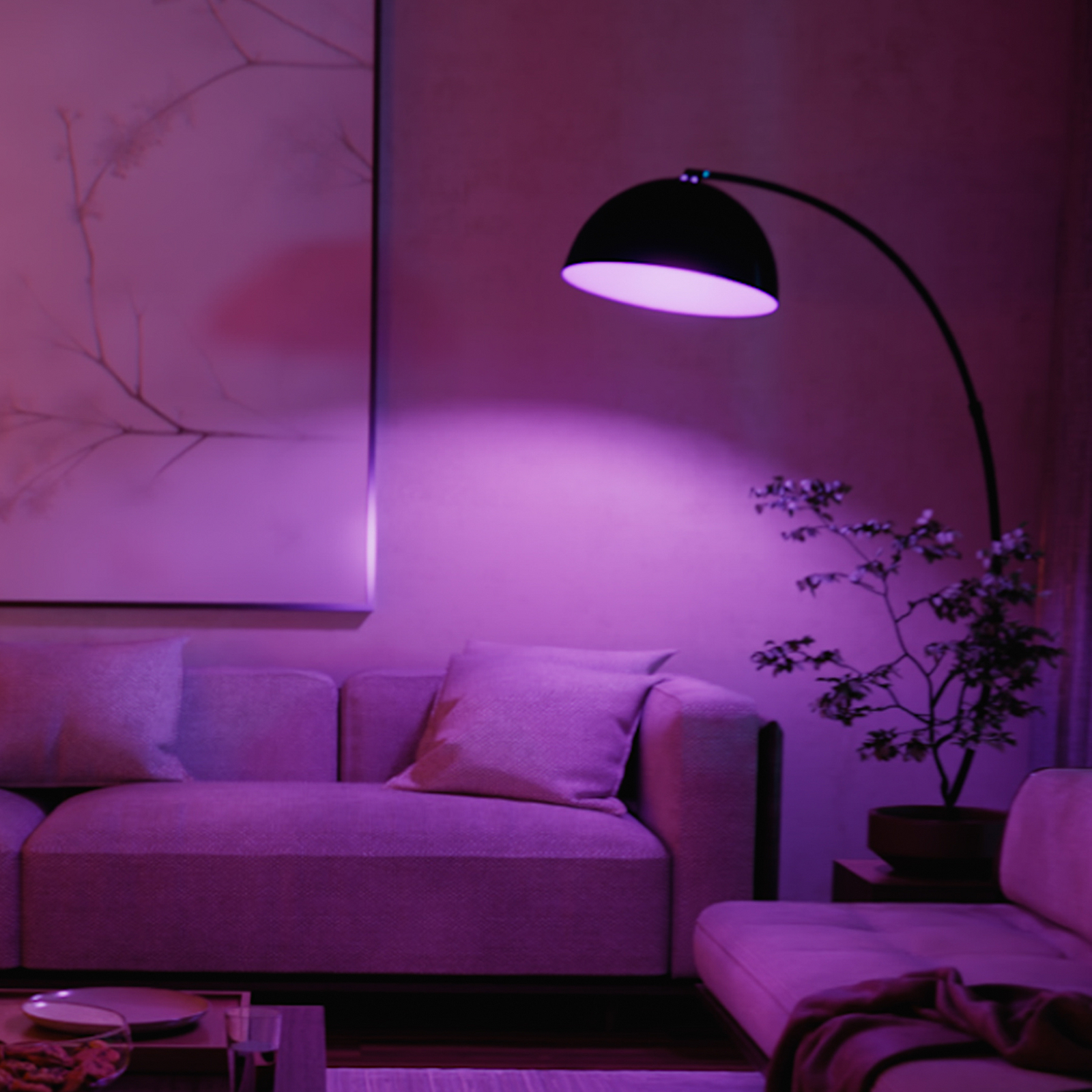 Philips Hue WACA Smart E27 LED, 6 W, 810 lm, CCT RGB 2-pack