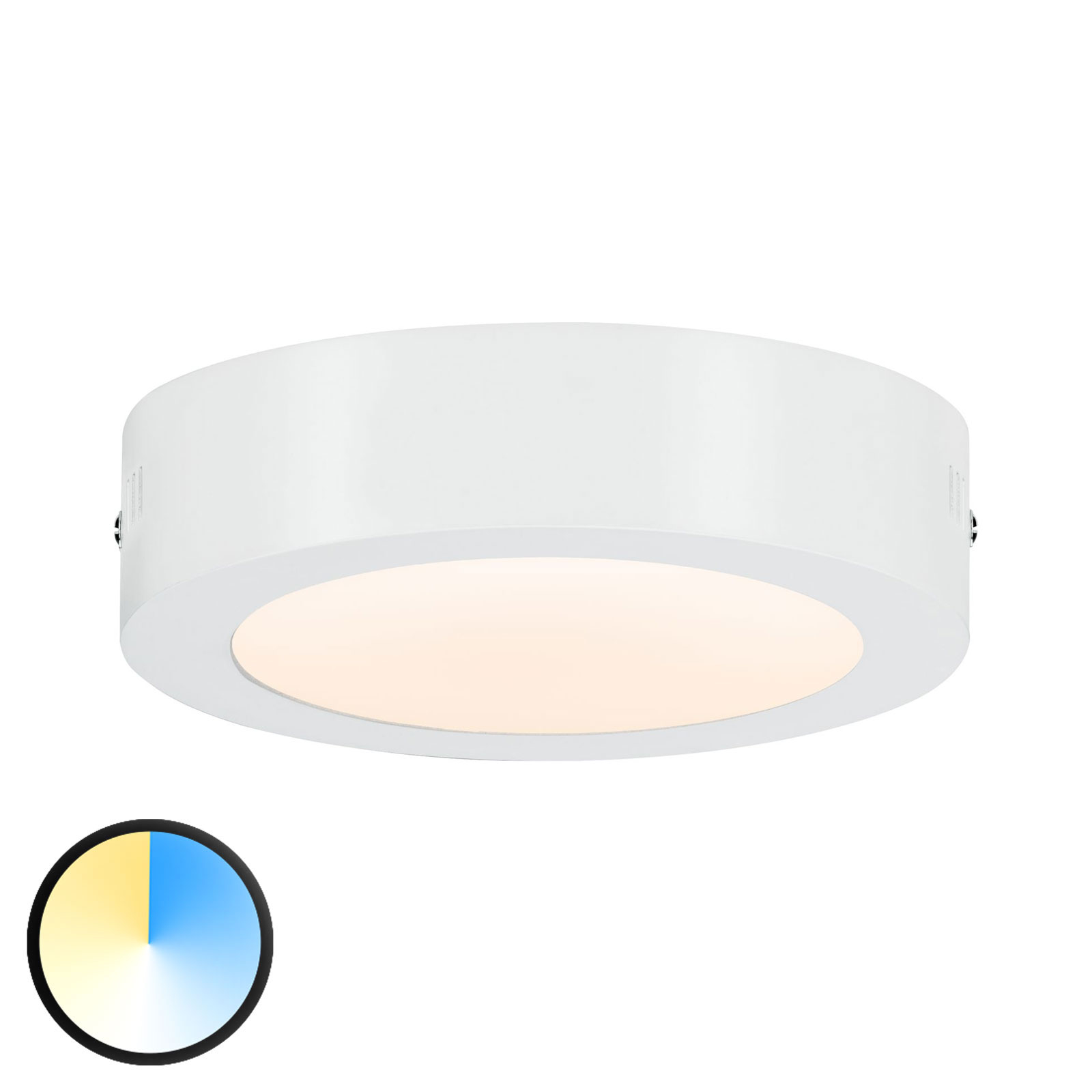 Paulmann Carpo LED ceiling lamp round white 17 cm, for Living / Dining Room, metal, plastic, 10.2 W, energy efficiency: A+, H: 3.8 cm