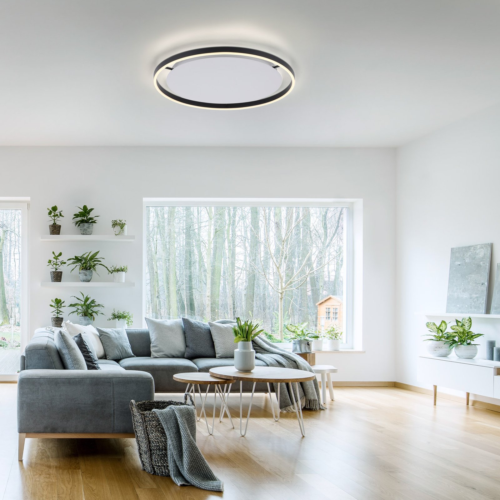 LED ceiling light Ritus, Ø 58.5cm, anthracite